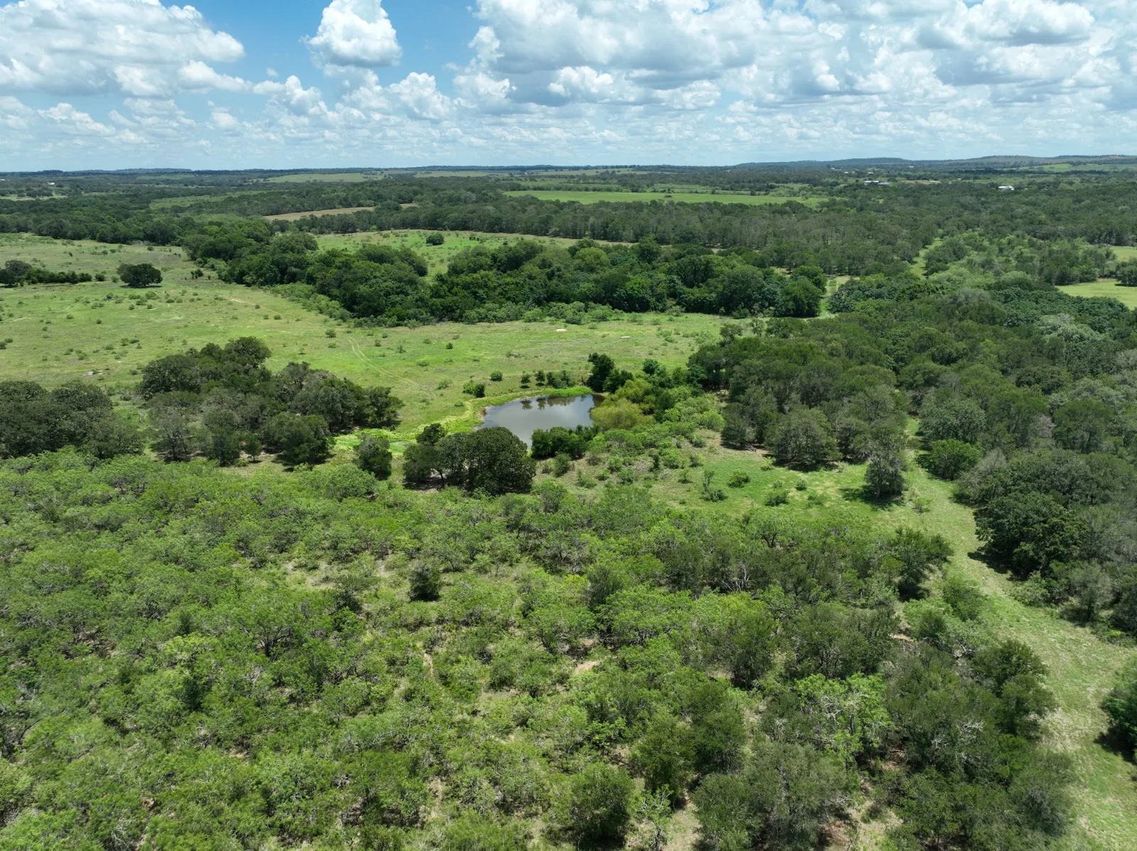 King Farm — 100 acres of land for sale in Lockhart, TX