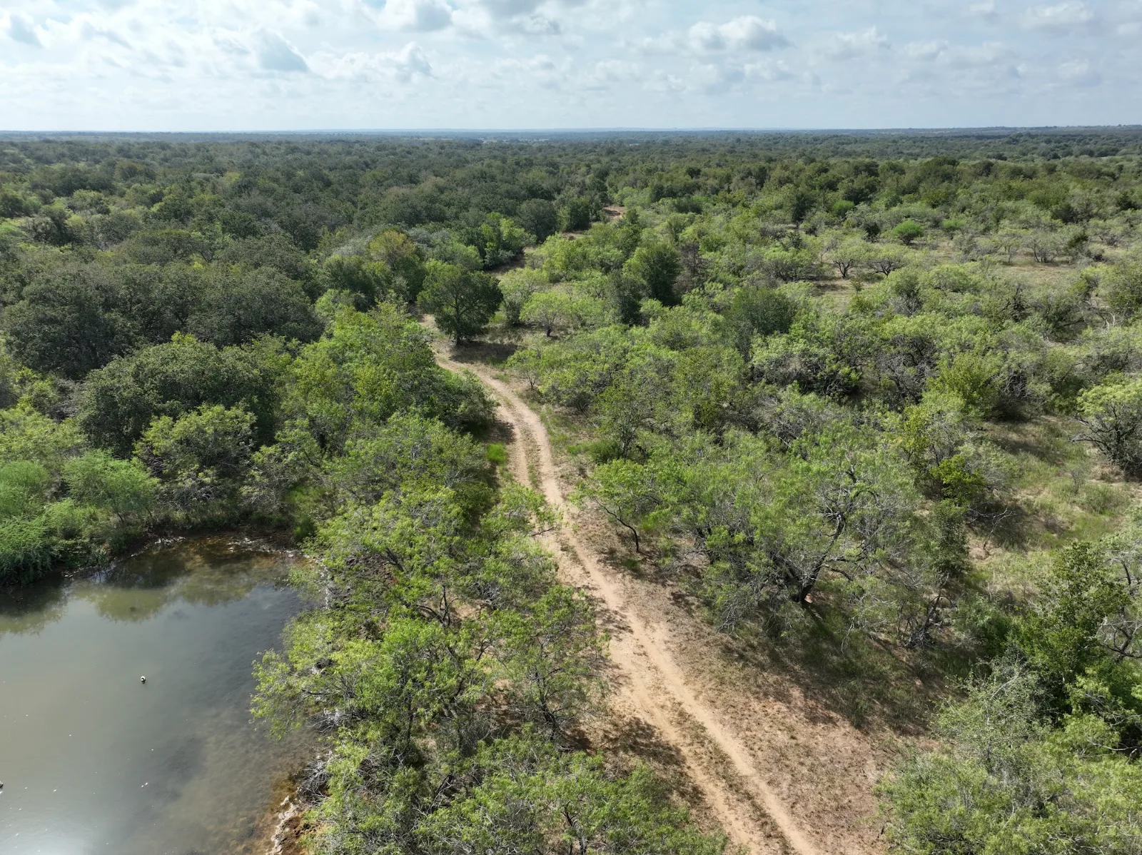 Misty Commercial — 22.5 acres of land for sale in Caldwell County, TX