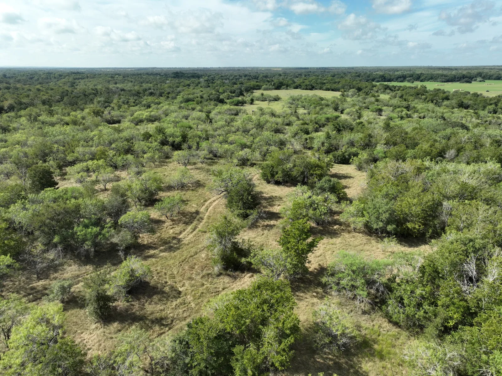 Bobwhite — 93.4 acres of land for sale in Caldwell County, TX