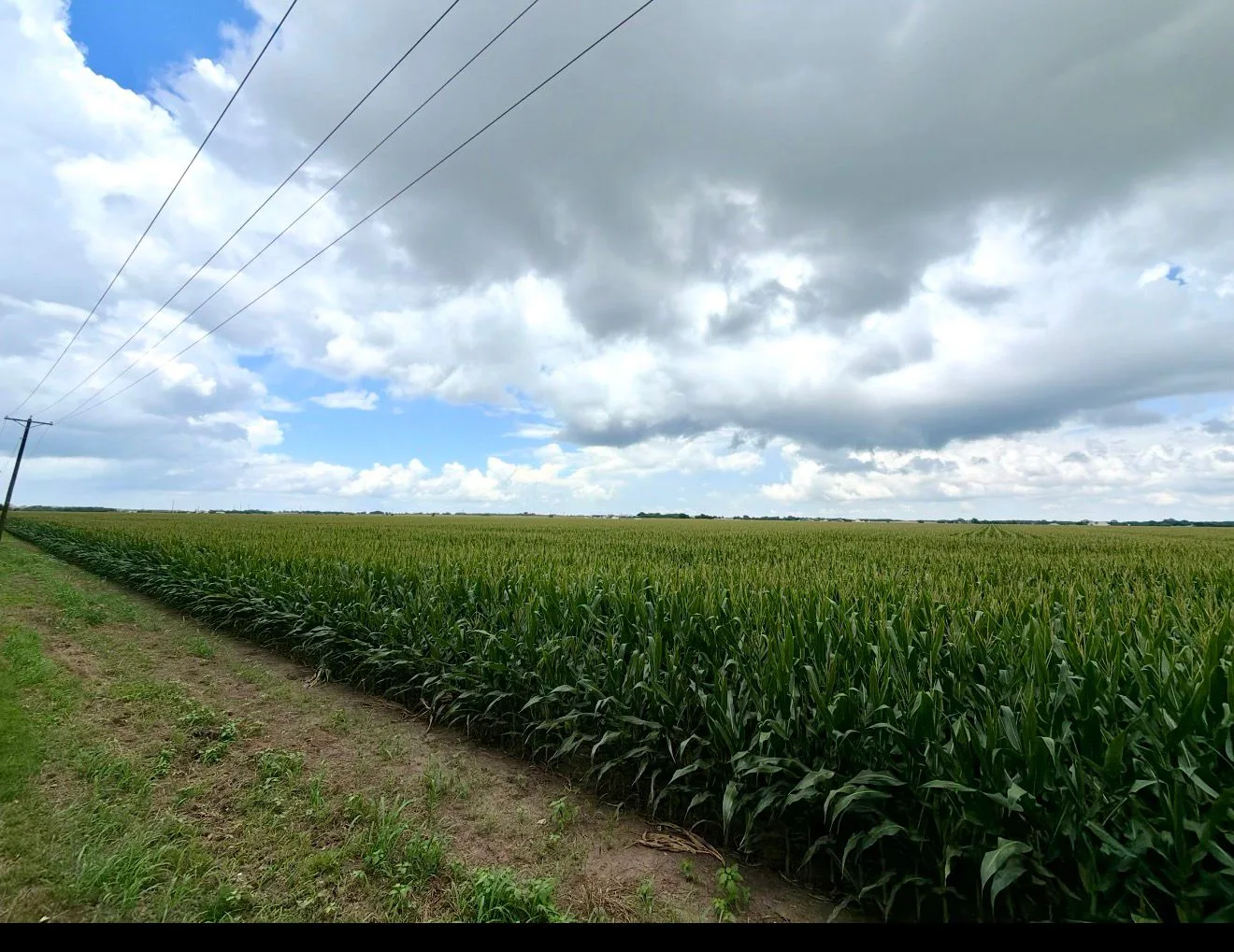 Vista Grande — 2-16 acres of land for sale in Grandview, TX