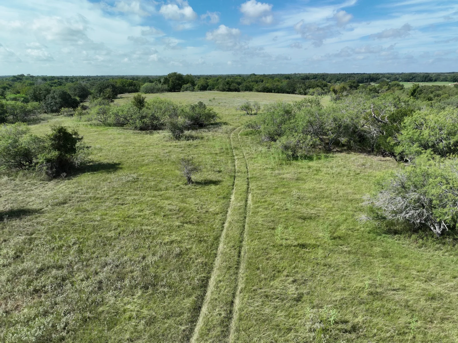 Waelder Ranches — 2.7-5 acres of land for sale in Waelder, TX